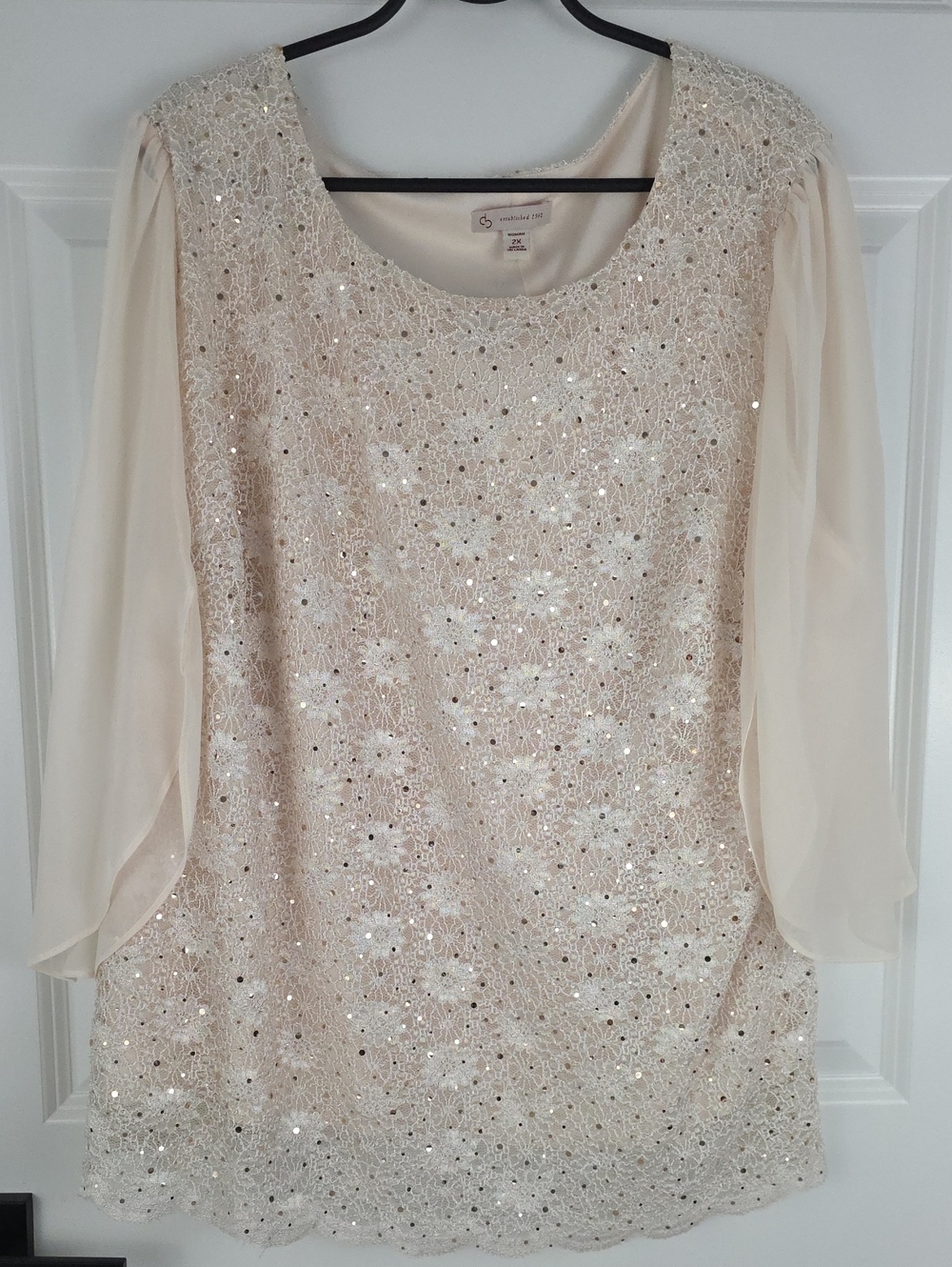 Dressbarn Ivory Floral Lace And Sequins Blouse With Chiffon Sleeves  Nwt Size 2X
